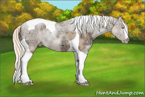 Horse Color: Gold Champagne Ice Pearl Tobiano 