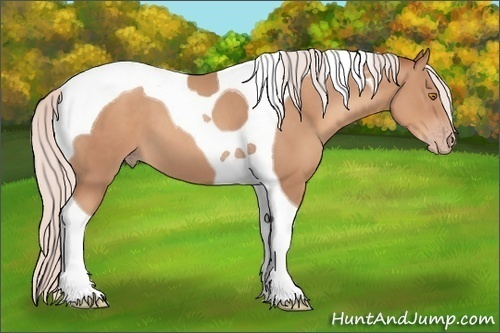 Horse Color: Silver Classic Champagne Tobiano 