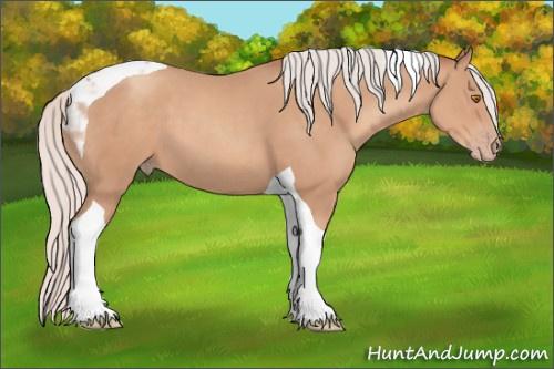 Horse Color: Silver Classic Champagne Tobiano 