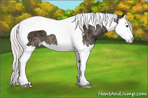 Horse Color: Silver Grullo Ice Splash Tobiano 