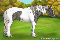 Horse Color:Silver Grullo Ice Tobiano 