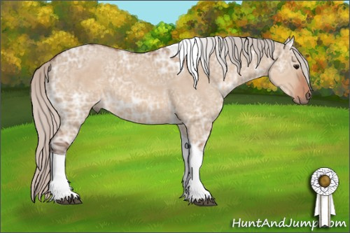 Horse Color: Silver Bay Ice Dun Tobiano 