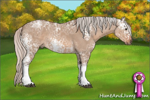 Horse Color: White Spotted Silver Brown Ice Dun Tobiano 