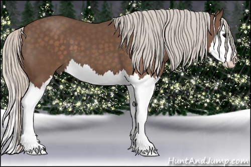 Horse Color: Silver Black Splash 