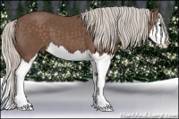 Horse Color:Silver Black Splash