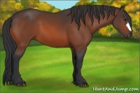 Horse Color:Brown 