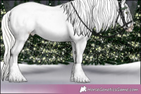 Horse Color:Silver Classic Champagne Roan Dun Splash Tobiano Frame Blanket Rabicano 