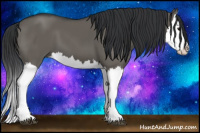 Horse Color:Grullo Splash 