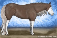 Horse Color:Silver Black Splash 