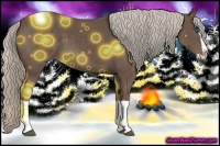 Horse Color:Silver Black Splash 