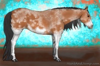 Horse Color:White Spotted Bay Frame 