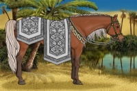 Horse Color:Silver Bay 