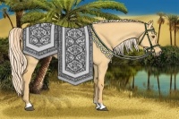 Horse Color:Palomino Dun 