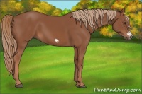 Horse Color:Chestnut Frame 