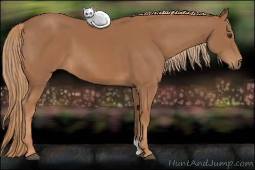 Horse Color: Chestnut 