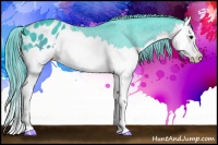 Horse Color:Watercolor Brown Splash Appaloosa 