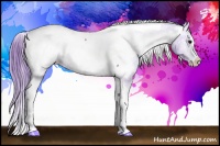Horse Color:Watercolor Brown Splash Tobiano Near Fewspot 