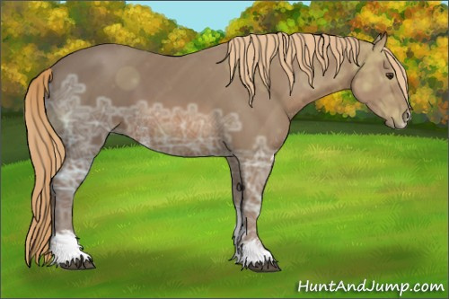 Horse Color: Liver Chestnut Ice Sabino 