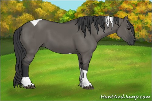 Horse Color: Grullo Tobiano 