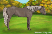 Horse Color:Silver Black 