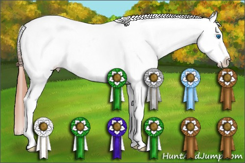 Horse Color: Amber Champagne Splash Near Leopard 