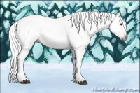 Horse Color:Gray Chestnut Tobiano