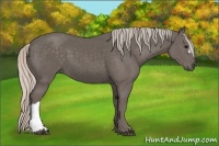 Horse Color:Silver Black 