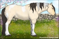 Horse Color:Buckskin Roan Dun Tobiano