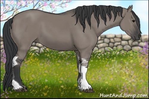 Horse Color: Grullo Tobiano 