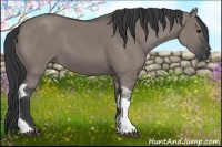 Horse Color:Grullo Tobiano