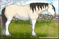 Horse Color:Buckskin Roan Dun Splash 