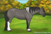 Horse Color:Grullo Roan Tobiano 