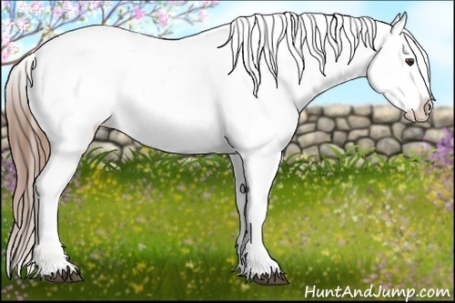 Horse Color: Chestnut Blanket 