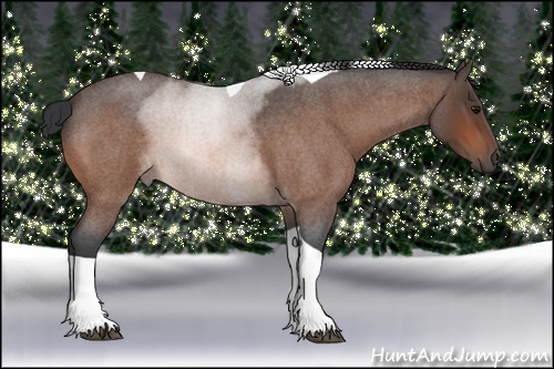 Horse Color: Bay Roan Tobiano 