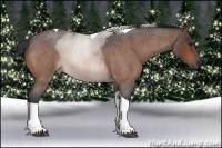 Horse Color:Bay Roan Tobiano