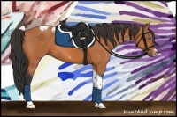 Horse Color:Bay Tobiano Frame 