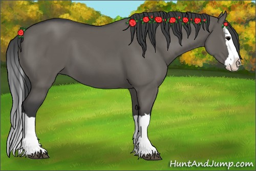 Horse Color: Grullo Splash 