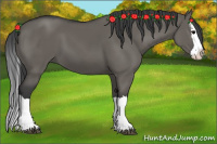 Horse Color:Grullo Splash 