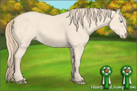 Horse Color:Perlino 