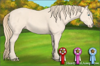 Horse Color:Perlino 