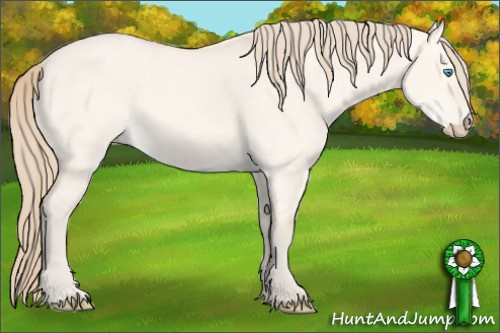 Horse Color: Perlino Dun 