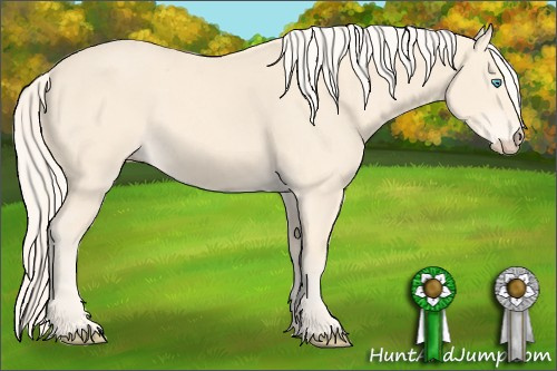 Horse Color: Cremello 