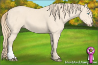 Horse Color:Perlino 