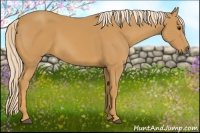 Horse Color:Palomino 