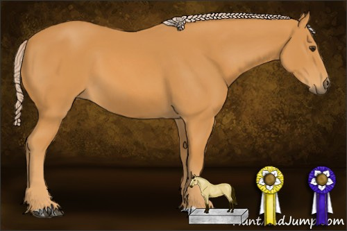 Horse Color: Palomino 