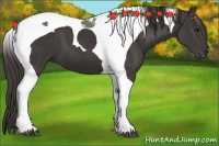 Horse Color:Smoky Black Tobiano 