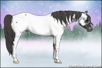 Horse Color:Black Near Fewspot  Brindle