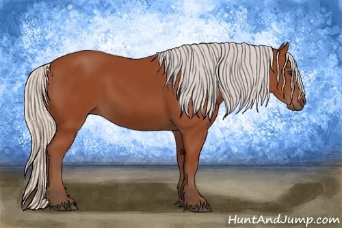 Horse Color: Silver Bay 