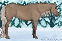 Horse Color:Silver Grullo 