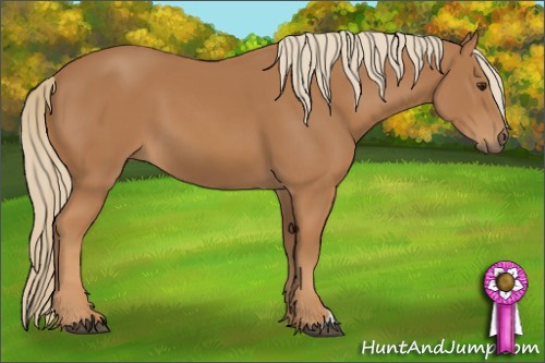 Horse Color: Chestnut 